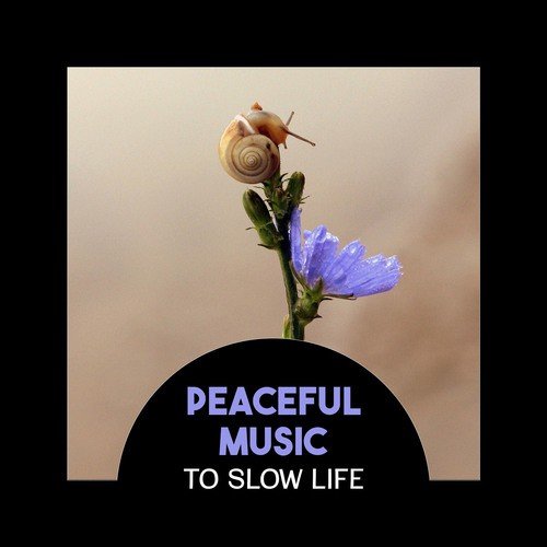 Peaceful Music to Slow Life – Calm Your Mind with Nature Sounds and Instrumental New Age, Reduce Stress, Find New Purpose in Life