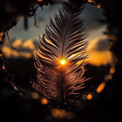 Plume