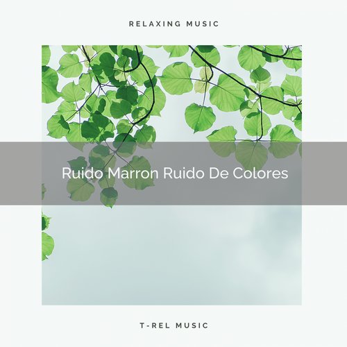 Ruido Marron Ruido De Colores cover art