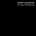 Set the Controls for the Heart of the Pelvis (Single Version)