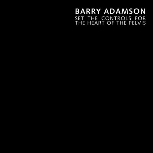Set the Controls for the Heart of the Pelvis (Single Version)
