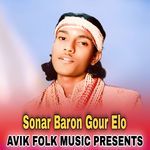 Sonar Baron Gour Elo