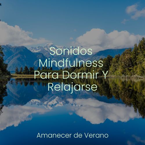 Sonidos Mindfulness Para Dormir Y Relajarse