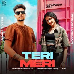 TERI MERI