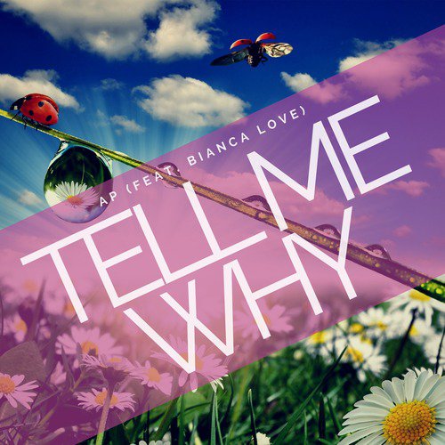 Tell Me Why (feat. Bianca Love)