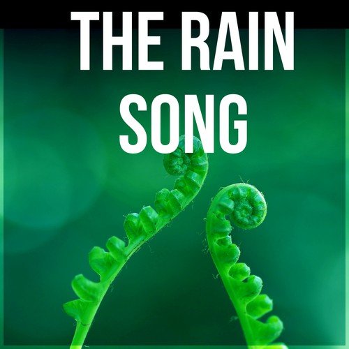 The Rain Song - Pure Nature Sounds for Relaxation and Deep Sleep, Soothing Rain Sound & Healing Ocean Waves