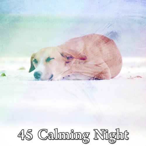 45 Calming Night