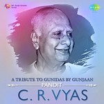A Tribitute To Gundas By Gunjaan