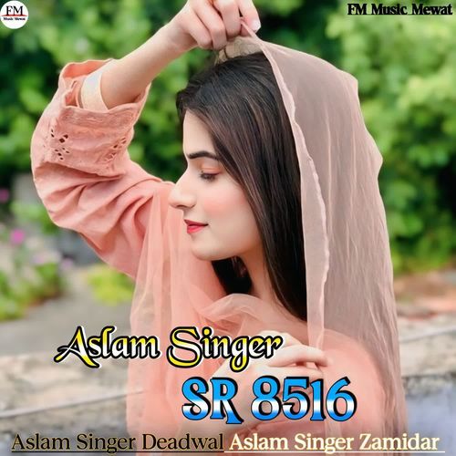 Aslam Singer SR 8516