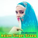 Aslam Singer Sr2212