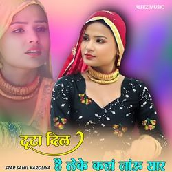 टूटा दिल है लेके कहां जांऊ यार
