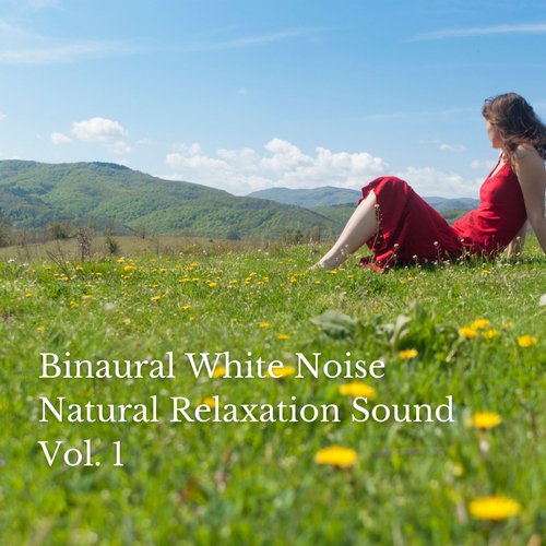 White Noise Spa Relaxation cover art