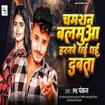 Chamran Balamua Haranwe Dhai Dhai Dabata