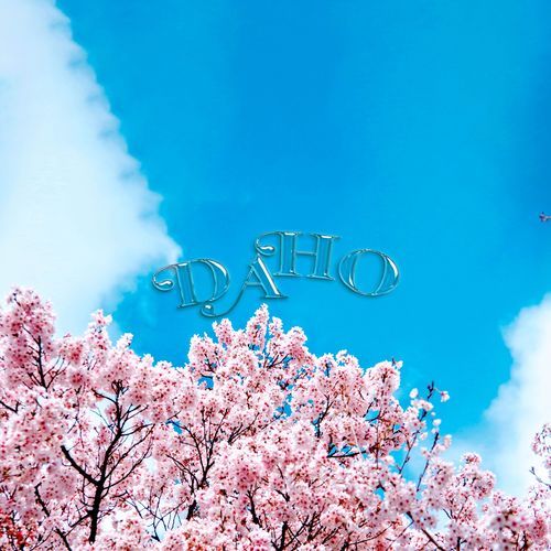 DAHO cover art