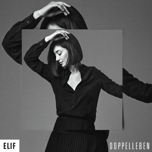 Doppelleben cover art