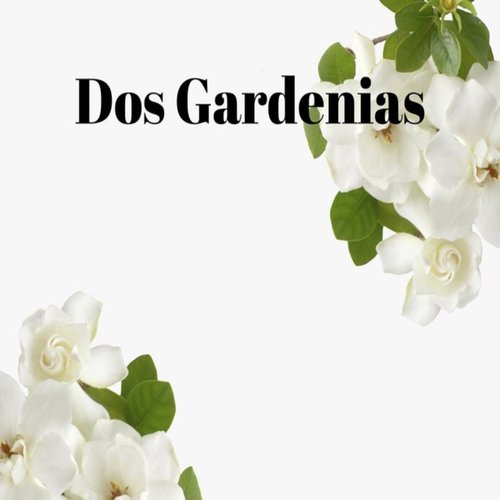 Dos Gardenias