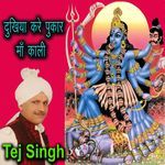 Dukhiya Kare Pukar Maa Kali