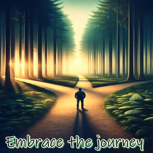 Embrace the Journey_poster_image