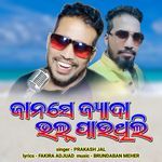 Jaanse Jyada Bhal Pauthili