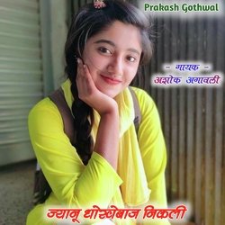 Janu Dhokebaj Nikale