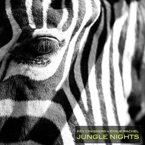 Jungle Nights_poster_image