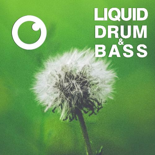 Liquid Drum & Bass Sessions 2021 Vol 41