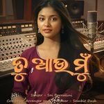 ତୁ ଆଉ ମୁଁ