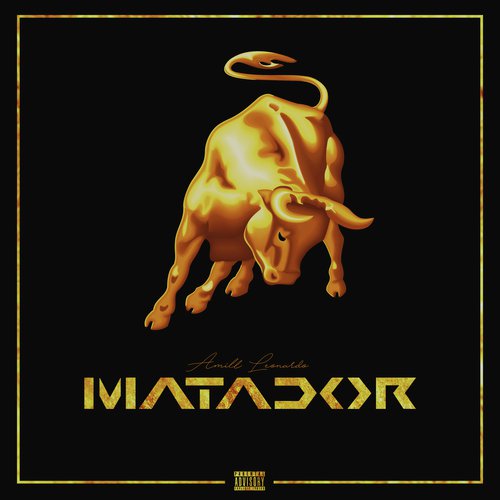 Matador_poster_image