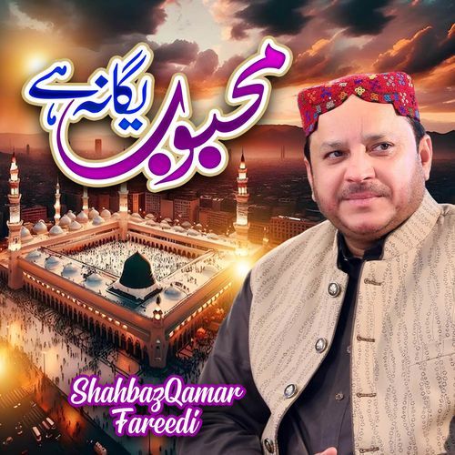 Mehboob Yagana Hai