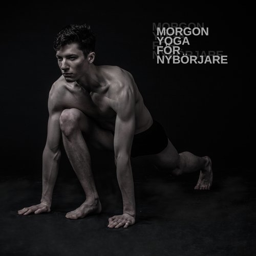 Solhälsningen cover art