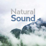 Natural Sound