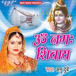 Om Namah Shivaye