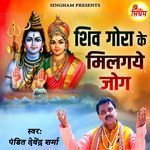 Shiv Gora Ke Milgaye Jog