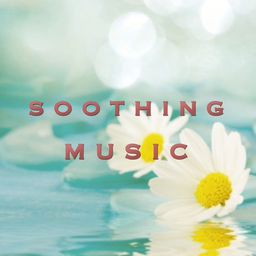 Soothing Music - Zen Spa Tunes for Your Moment of Relaxation