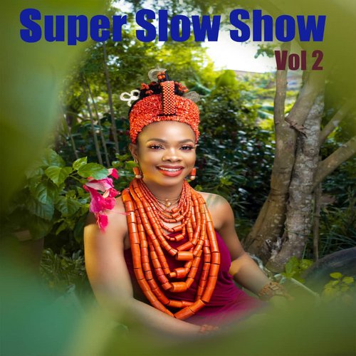 Super Slow Show,Vol. 2_poster_image