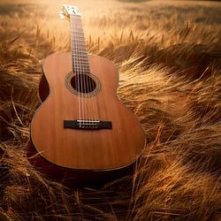 Timeless Strings: Guitar Music for the Soul