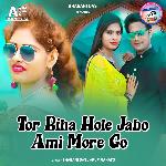 Tor Biha Hole Jabo Ami More Go