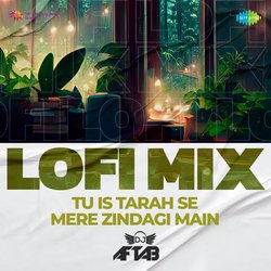 Tu Is Tarah Se Mere Zindagi Main - Lofi Mix-AB0EVQRUflU