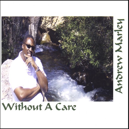 Without A Care cover art