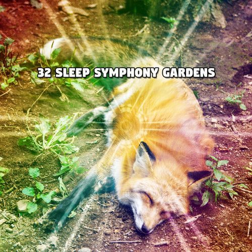 32 Sleep Symphony Gardens_poster_image