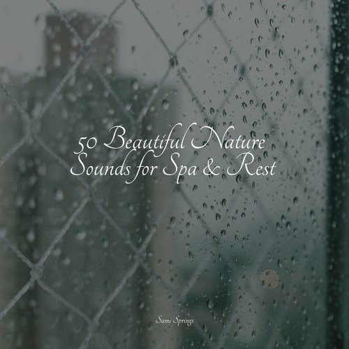 50 Beautiful Nature Sounds for Spa & Rest