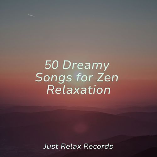 50 Dreamy Songs for Zen Relaxation_poster_image