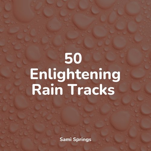 50 Enlightening Rain Tracks_poster_image