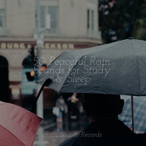 50 Peaceful Rain Sounds for Study & Sleep