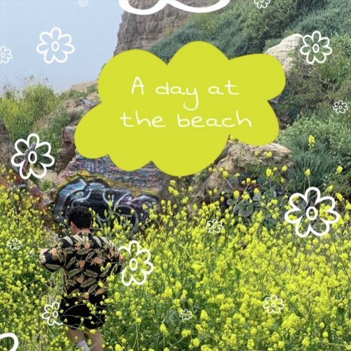 A Day at the Beach