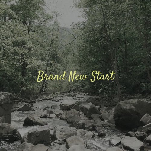 Brand New Start_poster_image