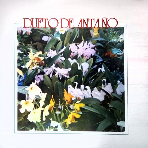 Bajabas de la Montaña cover art