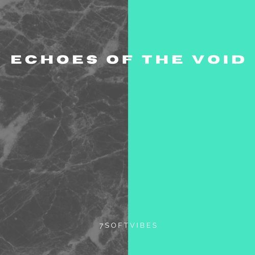 Echoes of the Void
