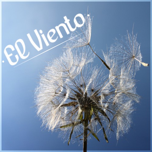 Respiracion (Rain, Water Sounds) cover art