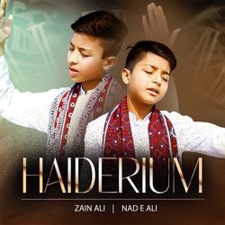 HAIDERIUM-Gg9afBtoUHk